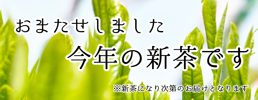 今年の新茶です